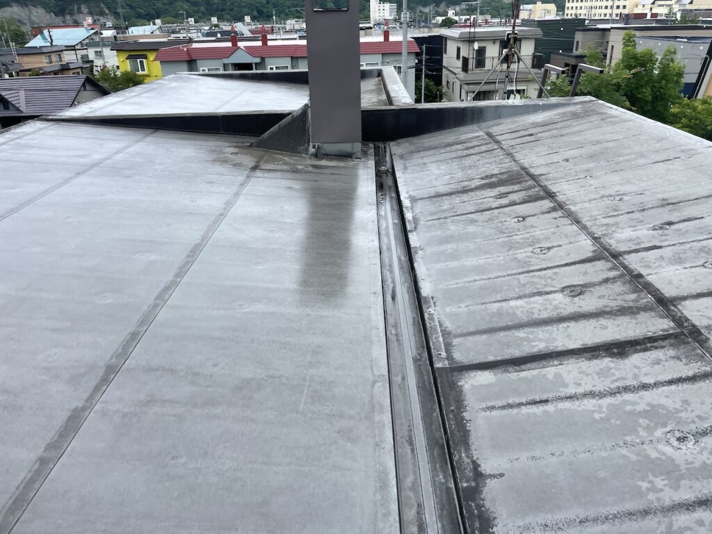 10年点検 屋根全体の状態確認