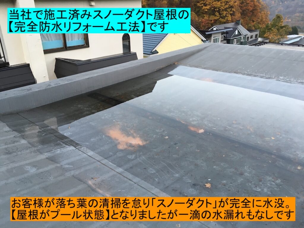 マツモトルーフの完全防水工法で屋根がプールになっても雨漏りなし