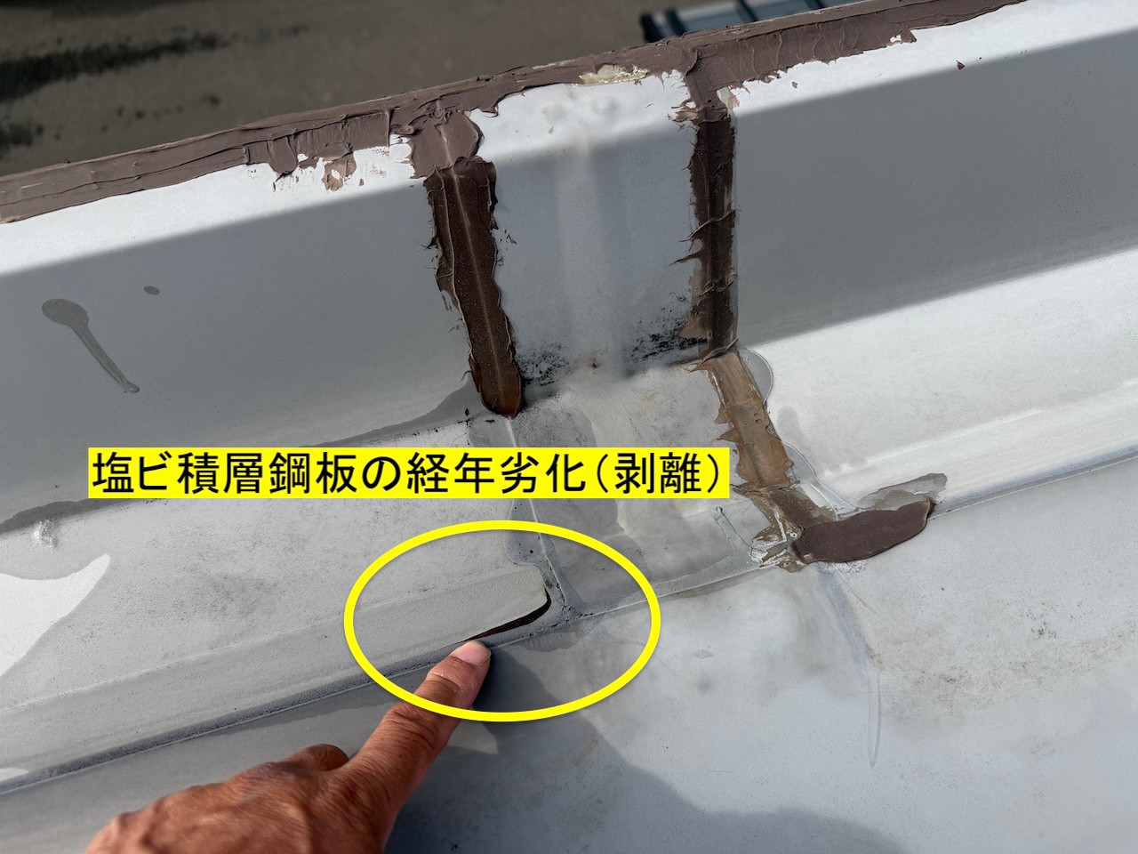 屋根端部で表面層が剥がれている箇所。